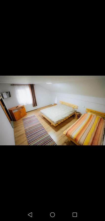 Casa Pietrosu Rodnei Hotel บอร์ชา ภายนอก รูปภาพ