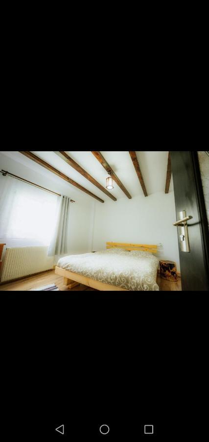 Casa Pietrosu Rodnei Hotel บอร์ชา ภายนอก รูปภาพ