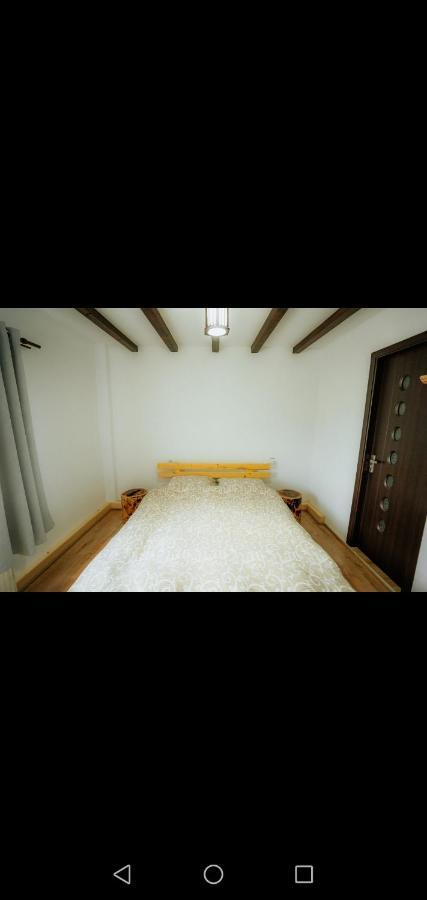Casa Pietrosu Rodnei Hotel บอร์ชา ภายนอก รูปภาพ