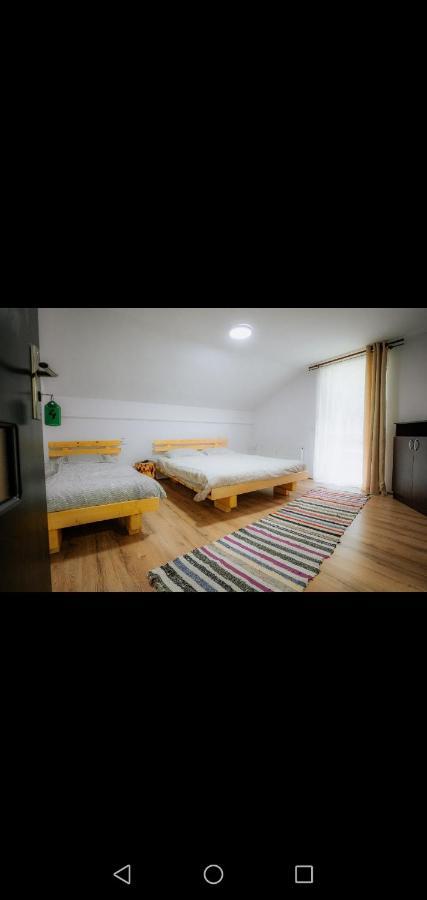 Casa Pietrosu Rodnei Hotel บอร์ชา ภายนอก รูปภาพ
