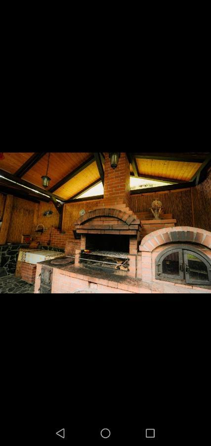 Casa Pietrosu Rodnei Hotel บอร์ชา ภายนอก รูปภาพ