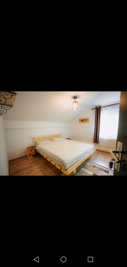 Casa Pietrosu Rodnei Hotel บอร์ชา ภายนอก รูปภาพ