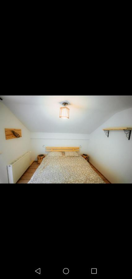Casa Pietrosu Rodnei Hotel บอร์ชา ภายนอก รูปภาพ