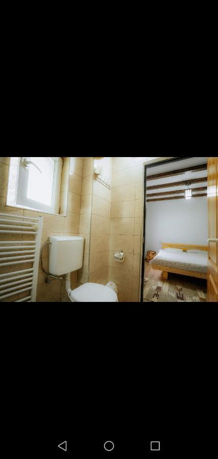 Casa Pietrosu Rodnei Hotel บอร์ชา ภายนอก รูปภาพ