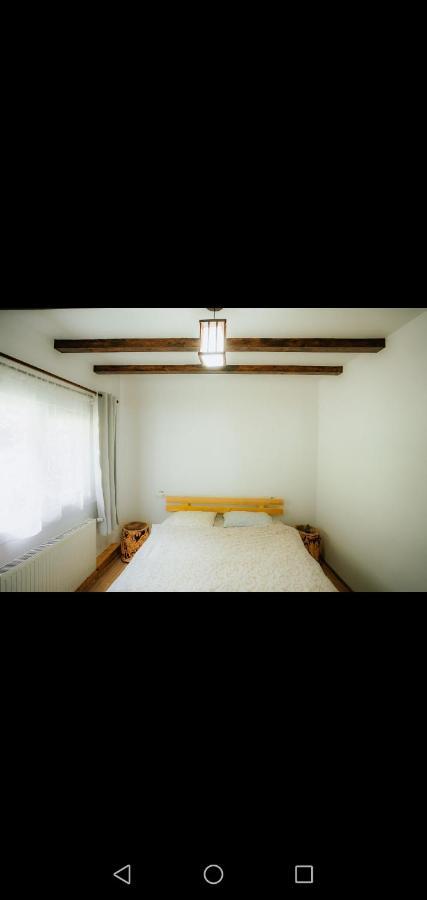 Casa Pietrosu Rodnei Hotel บอร์ชา ภายนอก รูปภาพ