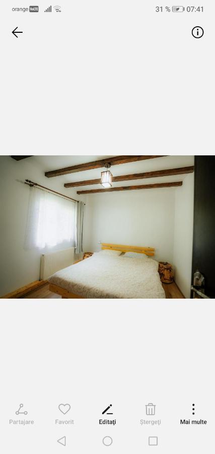 Casa Pietrosu Rodnei Hotel บอร์ชา ภายนอก รูปภาพ