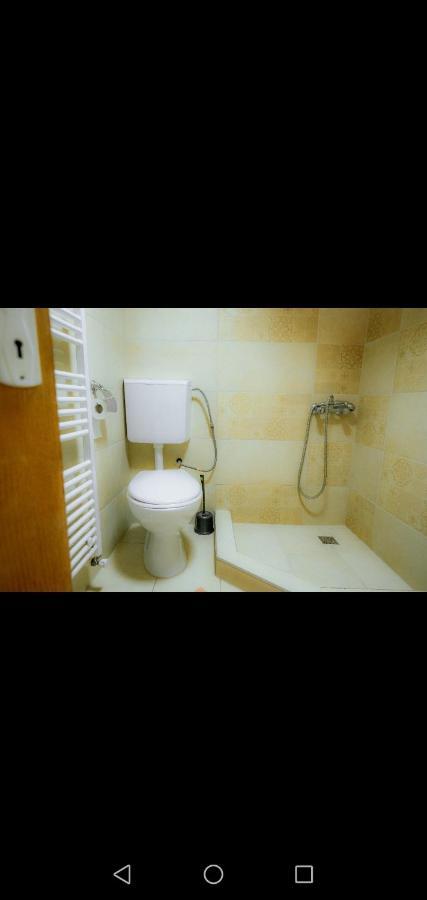 Casa Pietrosu Rodnei Hotel บอร์ชา ภายนอก รูปภาพ