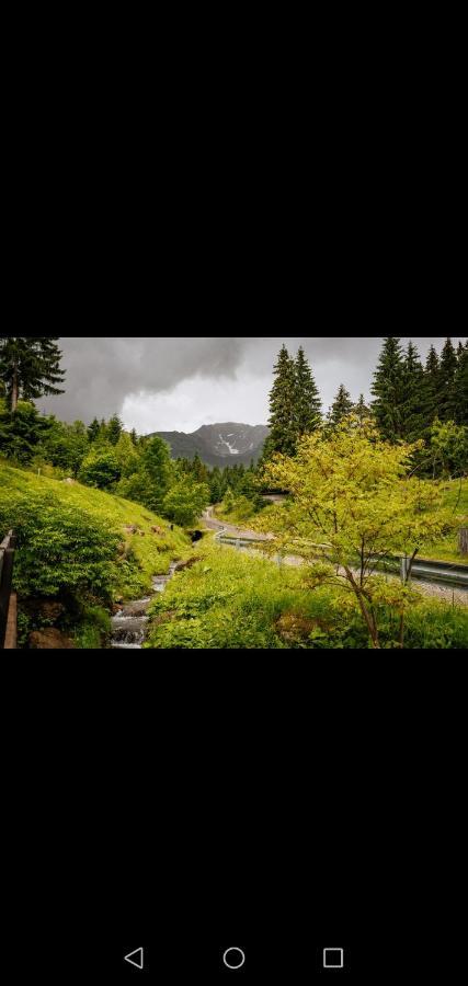 Casa Pietrosu Rodnei Hotel บอร์ชา ภายนอก รูปภาพ